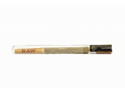 Sativa Poland CBD Black Buddha Prerolls