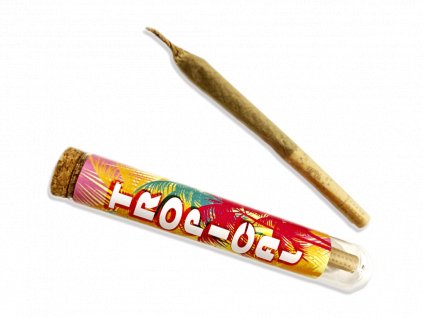 Exotická pohádka: CBD Pre-Rolls Tropical - Cestování mezi Aromaty