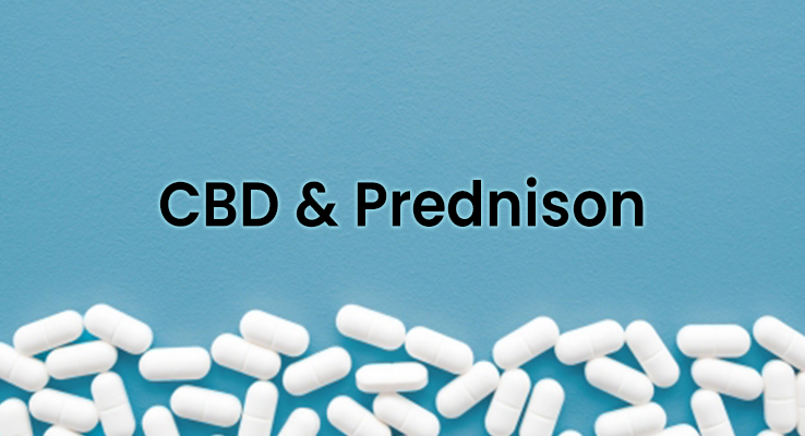 Does CBD Interact With Prednisone (Rayos)?
