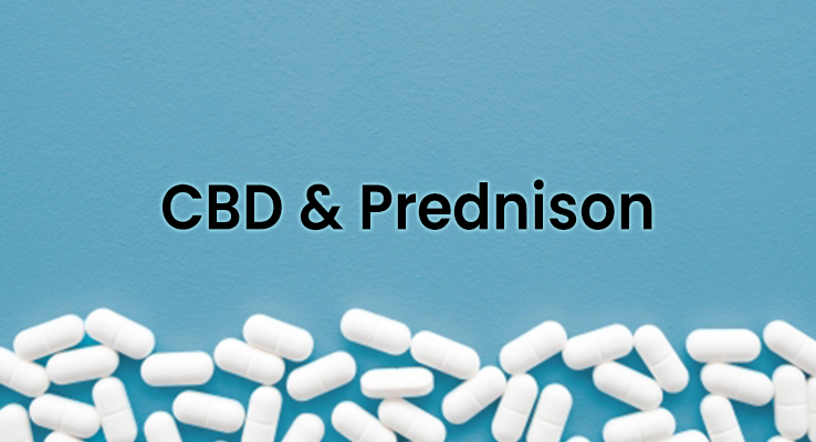 Interaguje CBD s prednisonem (Rayos)?