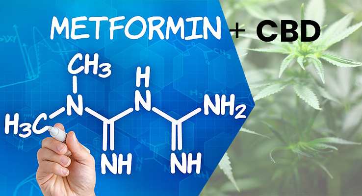 Does CBD interact with metformin?