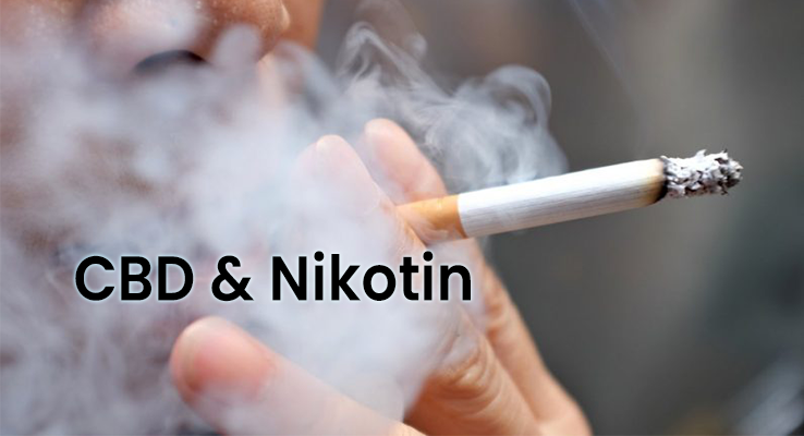 Does CBD Interact With Nicotine?