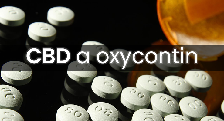 Interaguje CBD s oxykodónom (Oxycontin)?