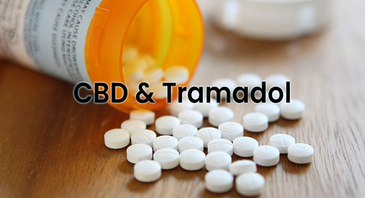 Does CBD Interact With Tramadol (Ultram)?