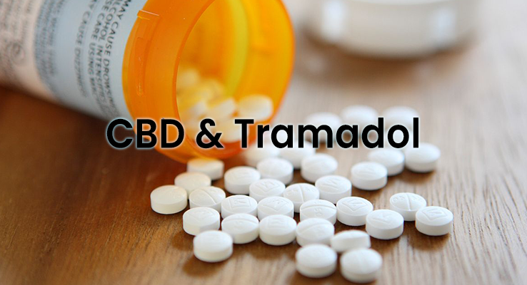 Interaguje CBD s tramadolem (Ultram)?