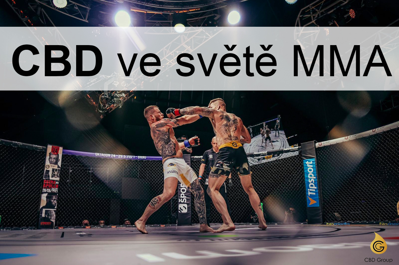CBD ve světě MMA