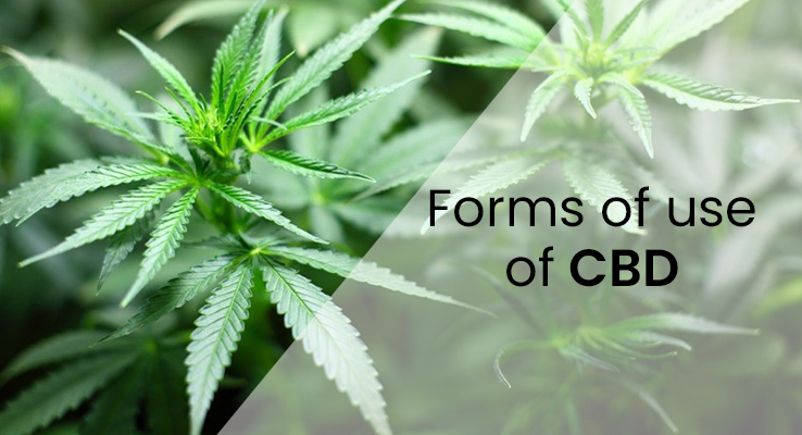 Differences between different forms of CBD