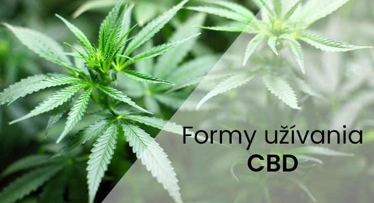 Rozdiely medzi rôznymi formami podávania CBD