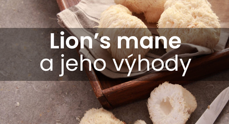 Jaké jsou přínosy houby Lion's Mane?