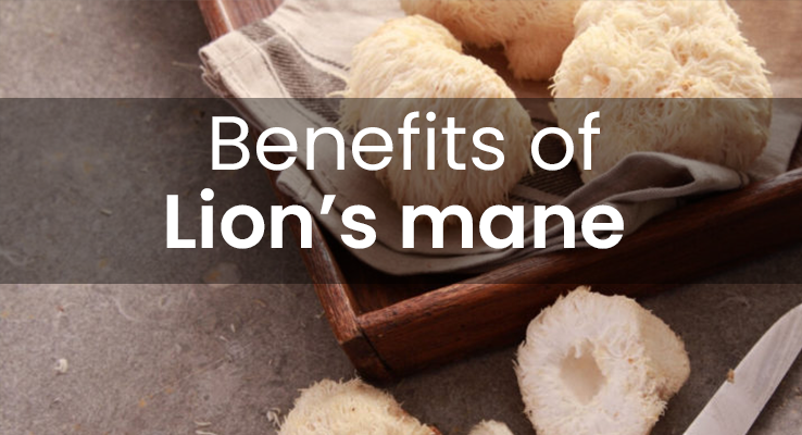 What are the benefits of Lion's Mane mushroom?