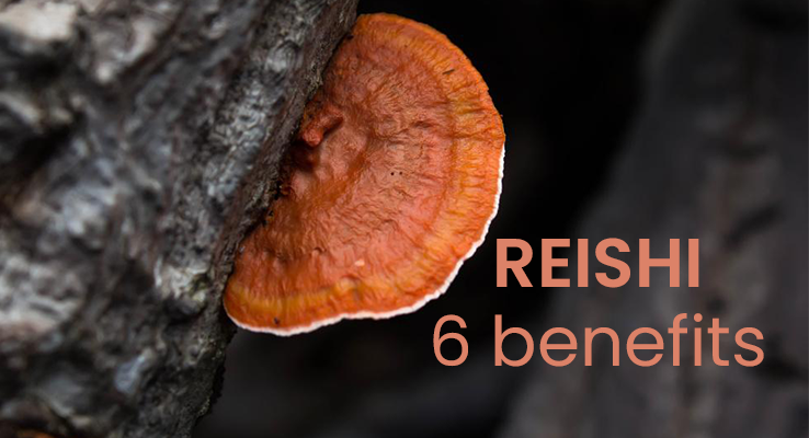 6 benefits of Reishi mushrooms