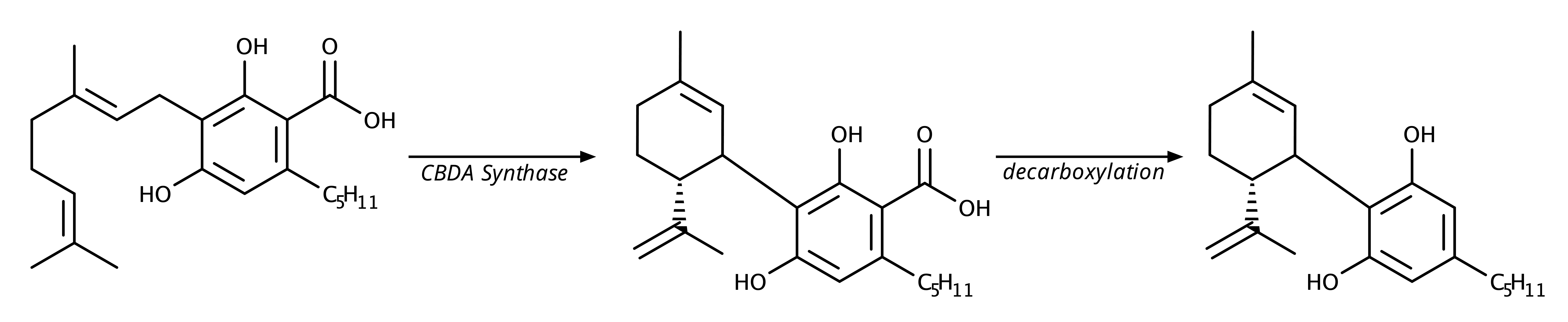 cbga-cbda-cbd1571388639862