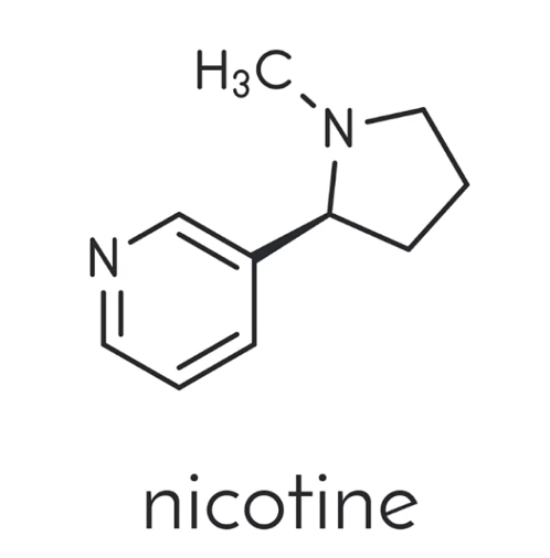 Interaguje CBD s nikotinem? 