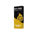 H4CBD jednorázové pero 2ml