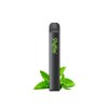 Mint (2)