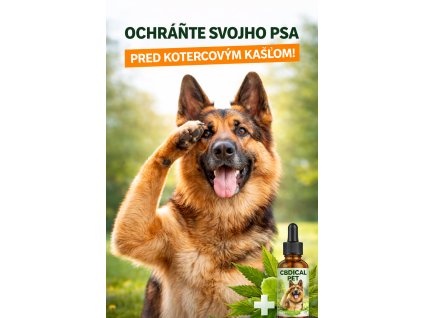 CBDICAL PET KOTEROVY KASEL PREC