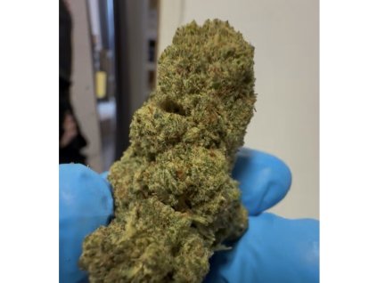 CaliWeed-CaliHaze-THCX Aktivní Květy