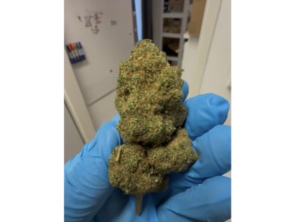 CaliWeed-Forbidden Fruit-THCX Aktivní Květy