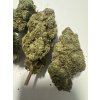 z1 zombie kush-CBD Květy-premium  SnowFlake.premium cbd květy