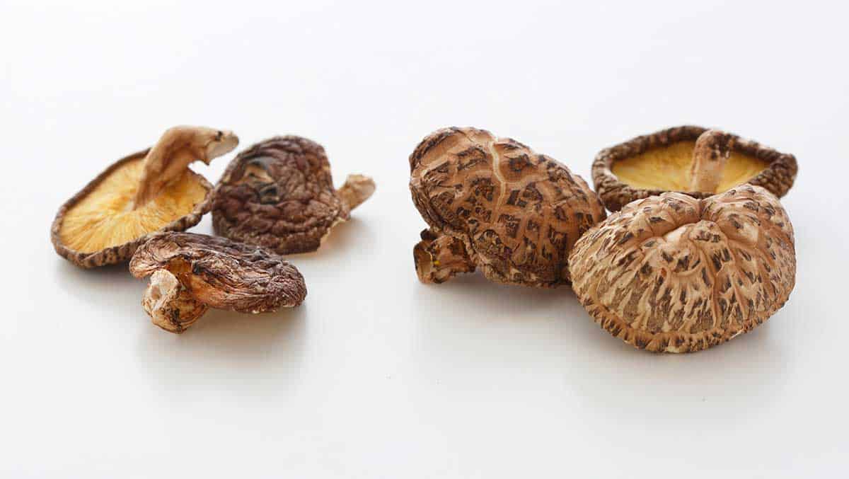 Co je AHCC®? Síla shiitake extraktu pro imunitní systém