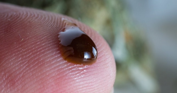 Seznam nemocí s léčbou CBD