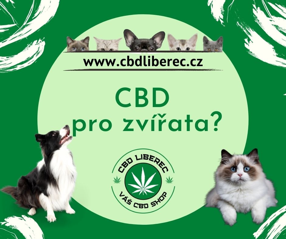 CBD pro zvířata?