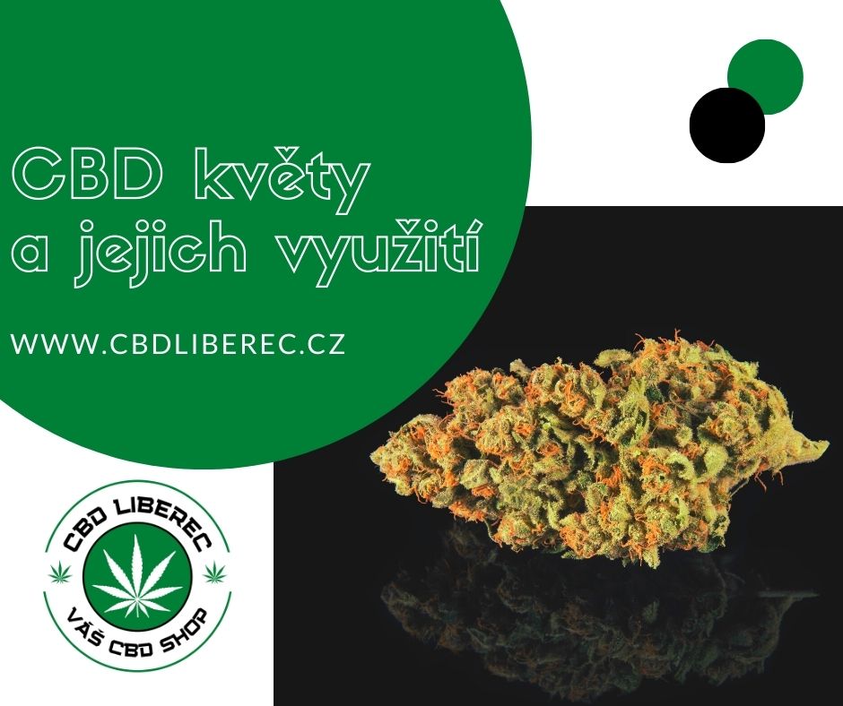 CBD květy a jejich využití