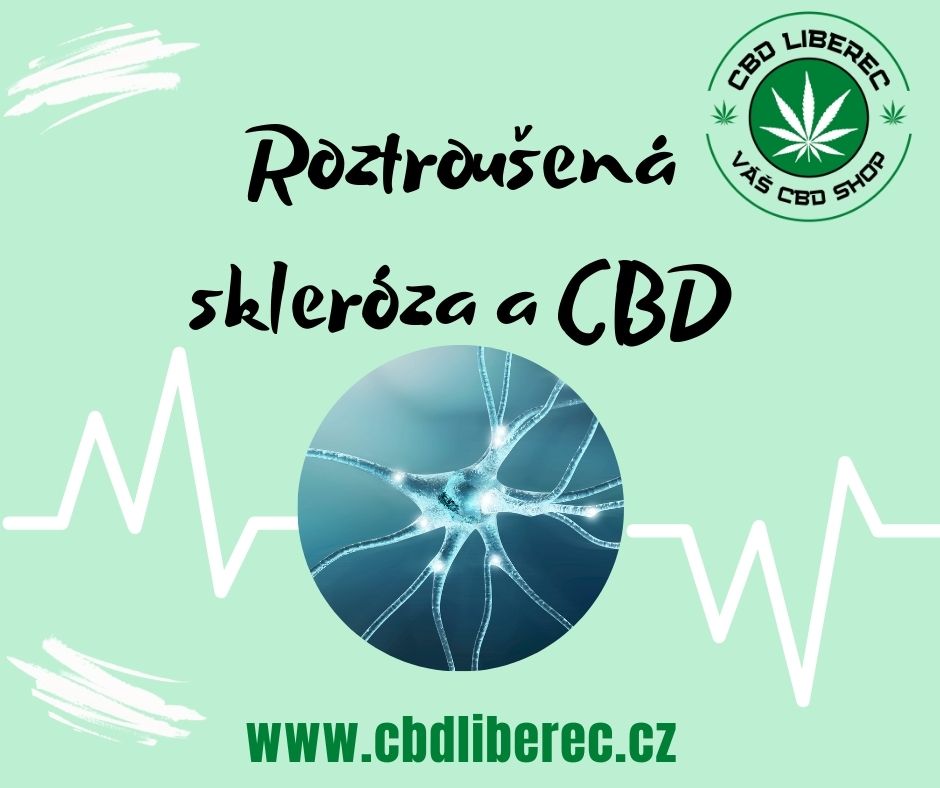 Roztroušená skleróza a CBD