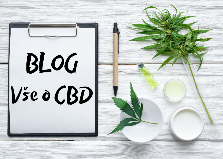 Blog - vše o CBD