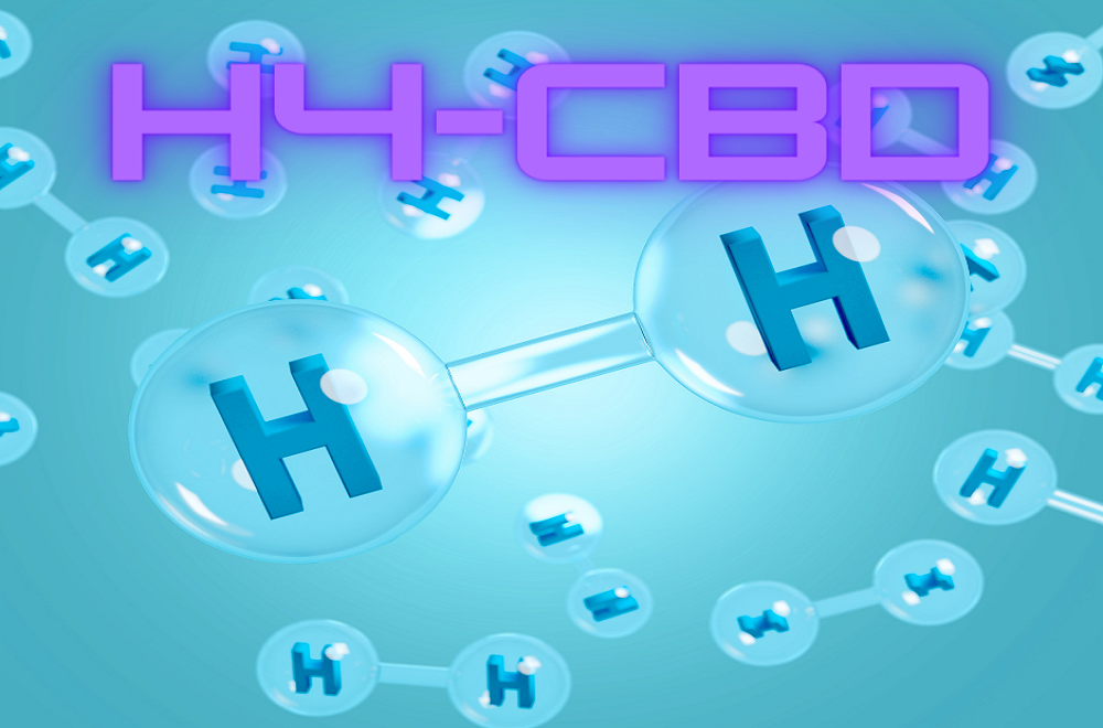 Co je H4CBD? Náhrada za HHC?