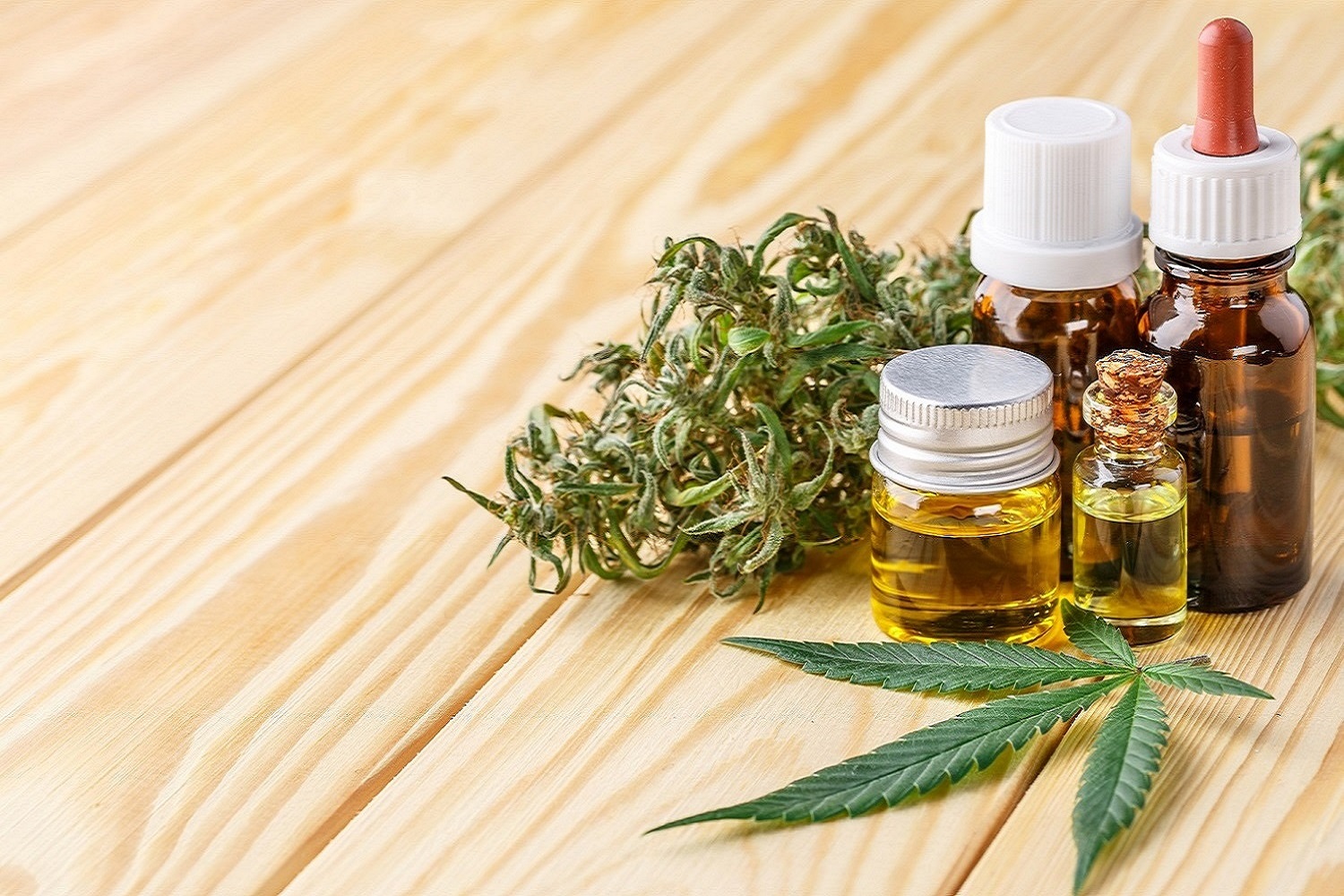 Co jsou to flavonoidy, terpeny a terpenoidy?