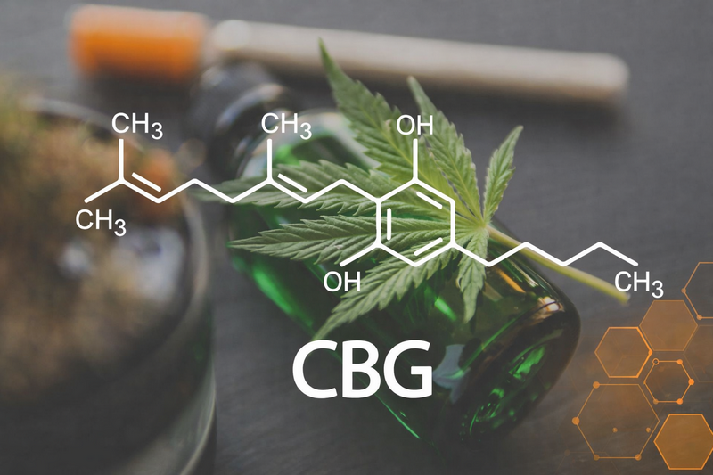 CBG (kannabigerol) – a kannabinoidok „ősanyja”