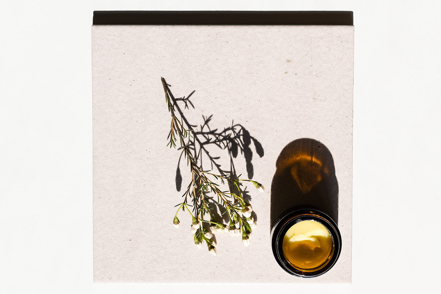 Je CBD vhodné pro vaši pokožku?