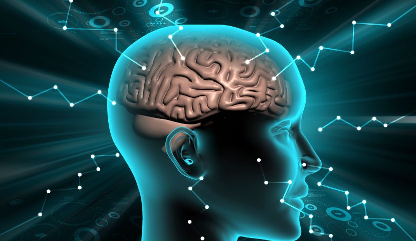 Anatomie mozku, jak funguje a jak jeho fungování podpořit