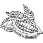 Kakaové máslo