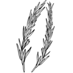 Rozmarýnový extrakt