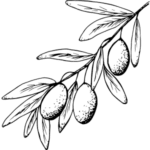 Skvalan