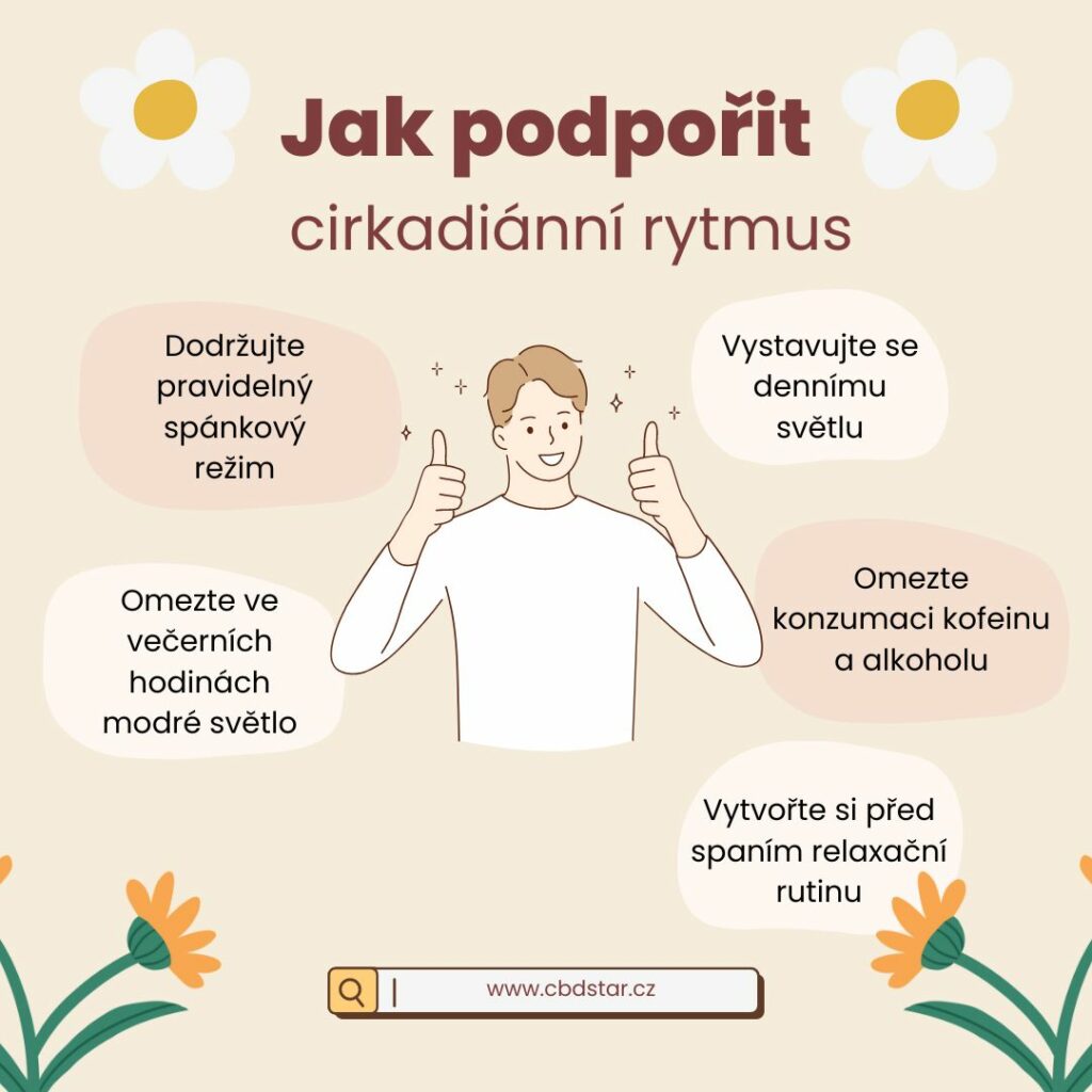 jak podpořit cirkadiánní rytmus