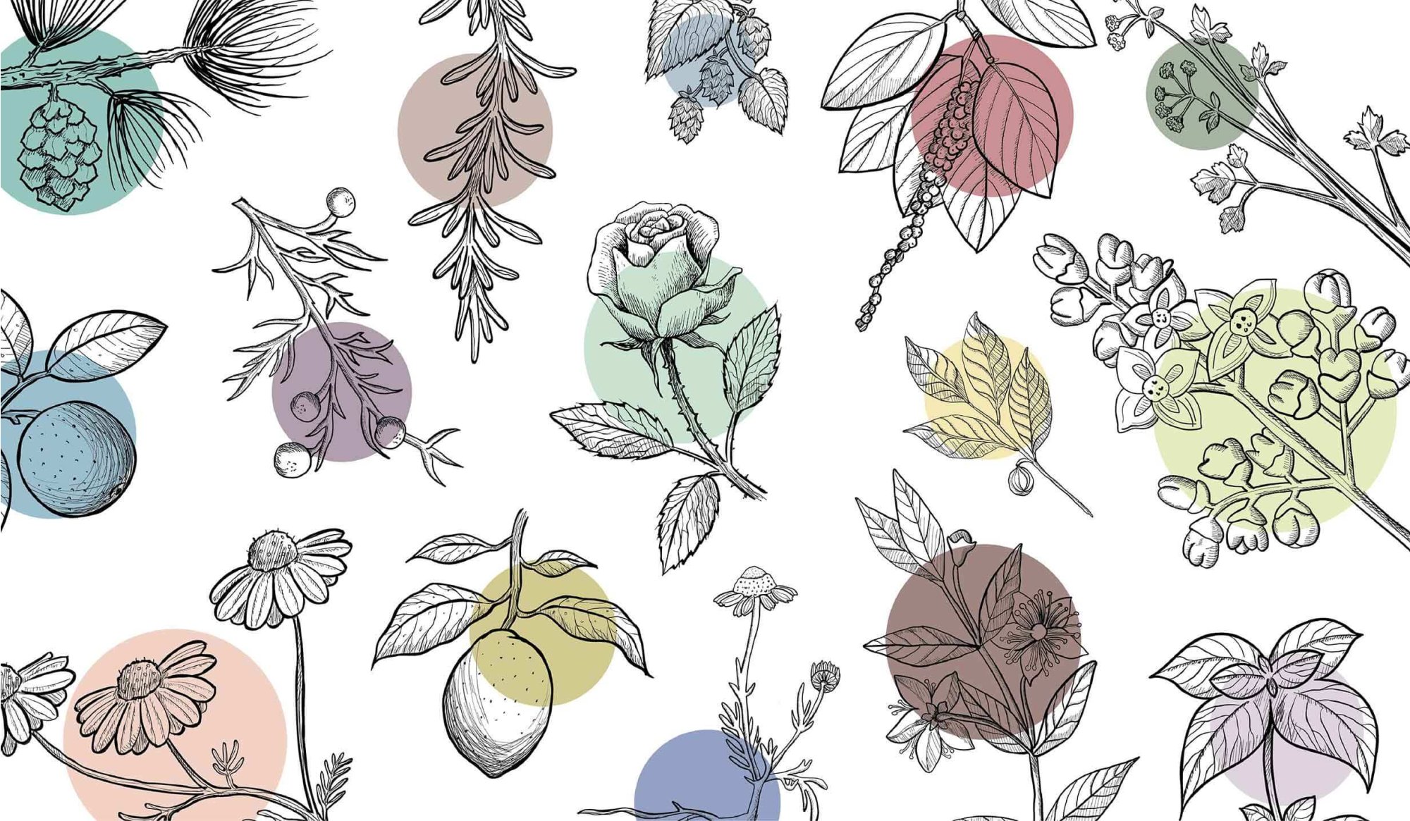 Terpény a „sprievodný efekt“