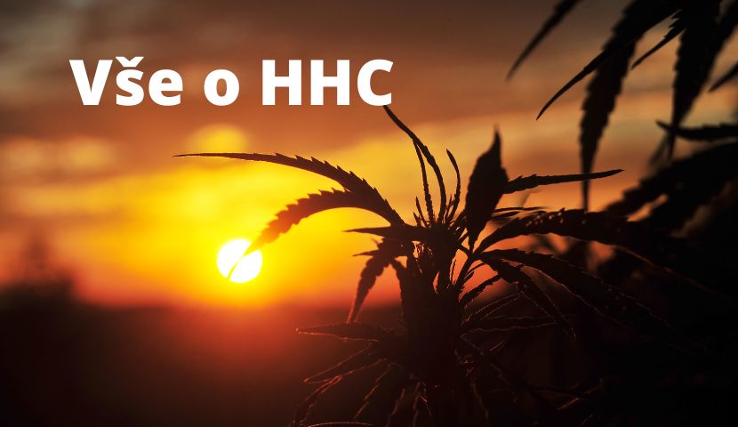 Všetko o HHC – účinky, benefity, nevýhody