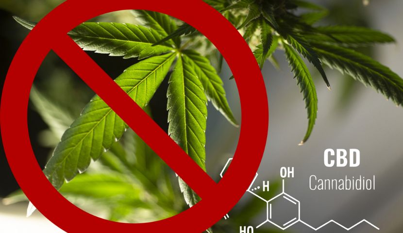 Vyhlásenie majiteľa CBD STAR k chystanému zákazu uvádzania na trh produktov obsahujúcich CBD