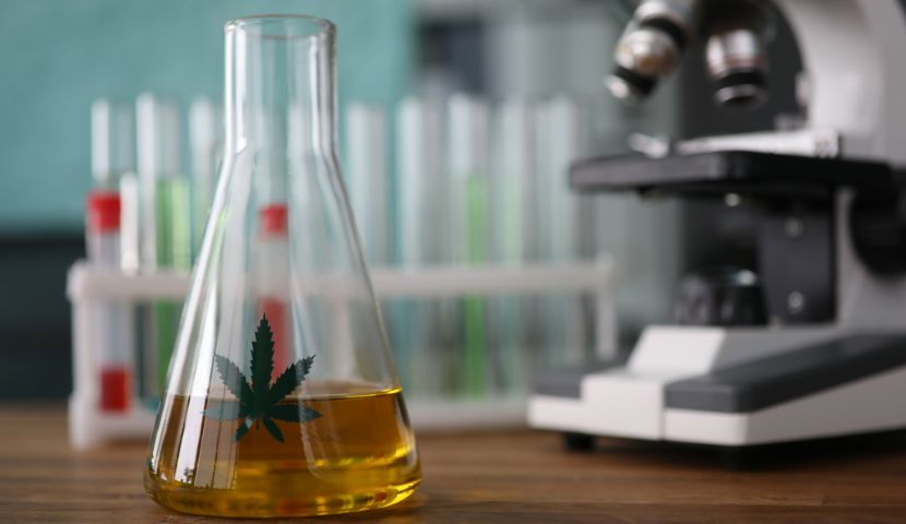 Aký účinok majú kanabinoidy?