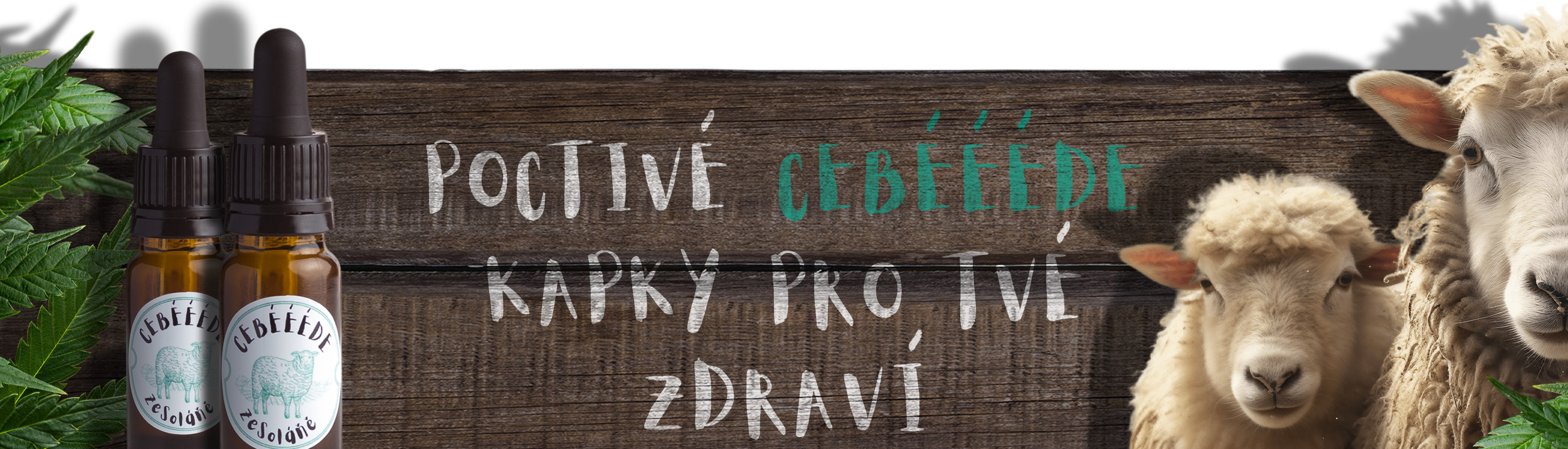 hlavní banner