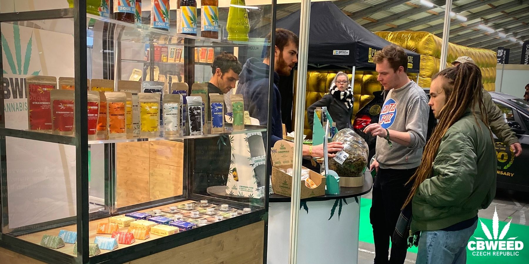 CBD Expo: Jaké festivaly navštívit?