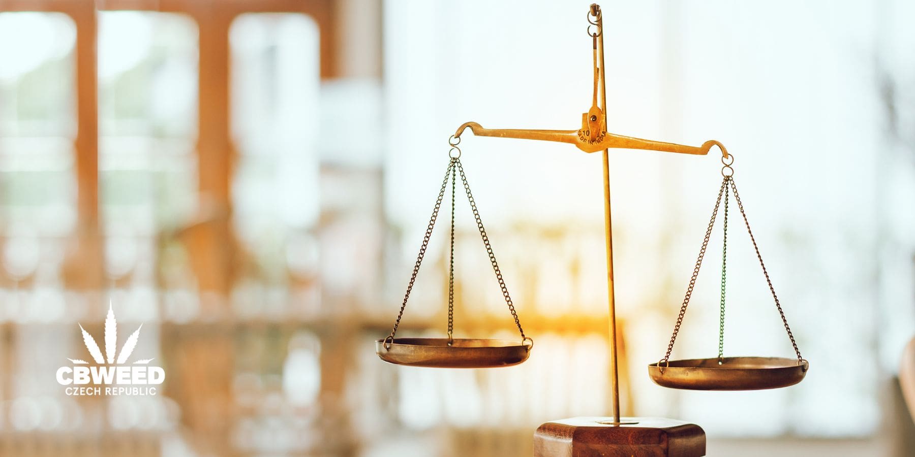 CBD a jeho vliv na homeostázu