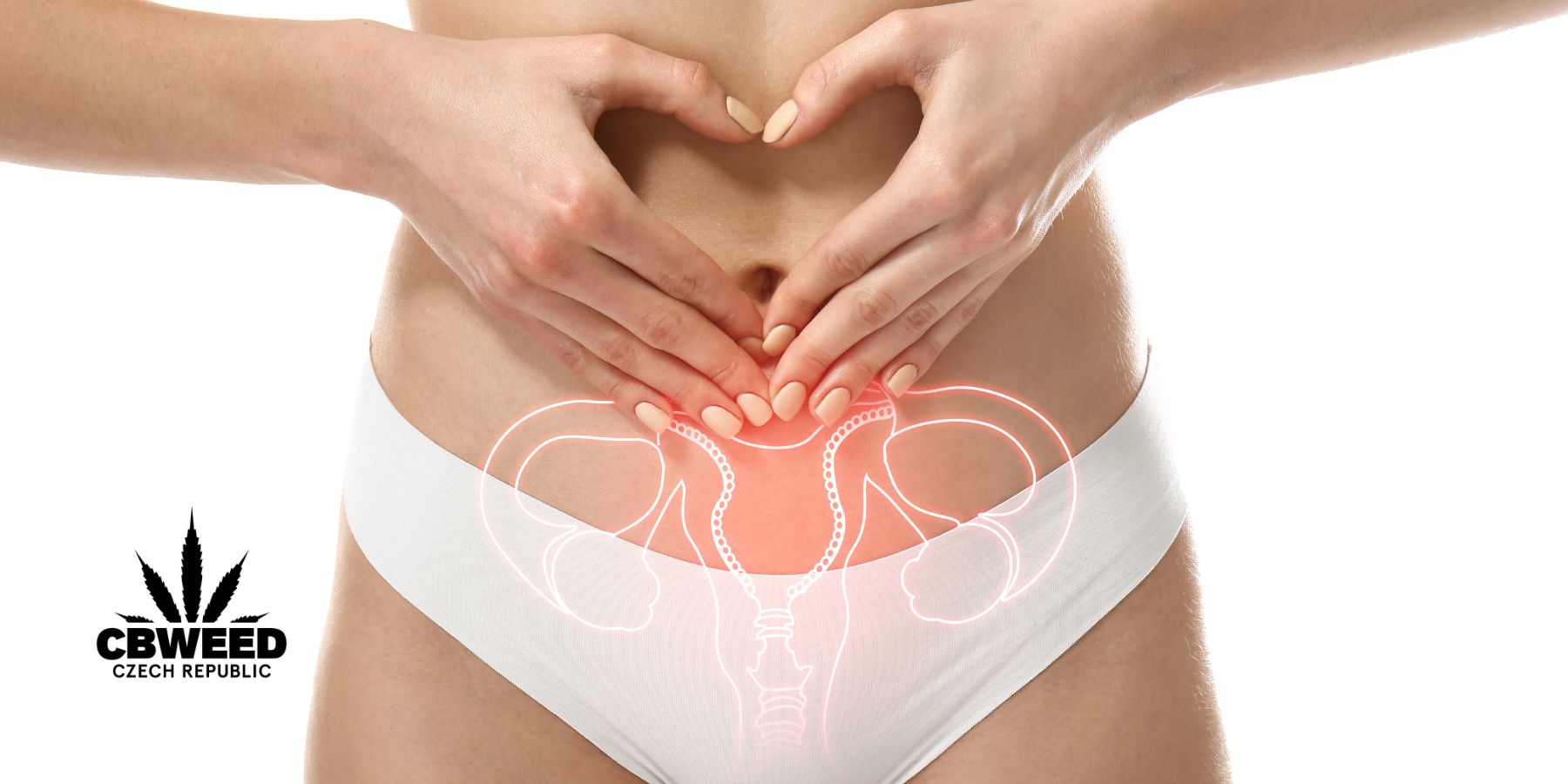 Pozitivní vliv CBD na zdraví ženy