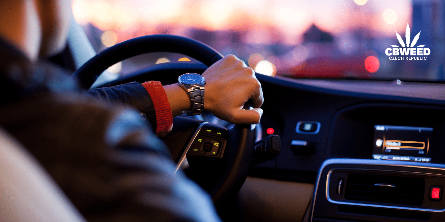 Je bezpečné používat CBD před řízením?