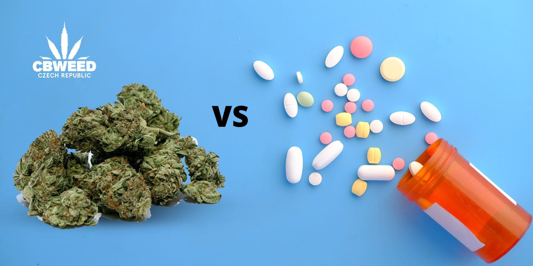 Jak pomocí CBD bojovat s depresí a úzkostnými stavy?