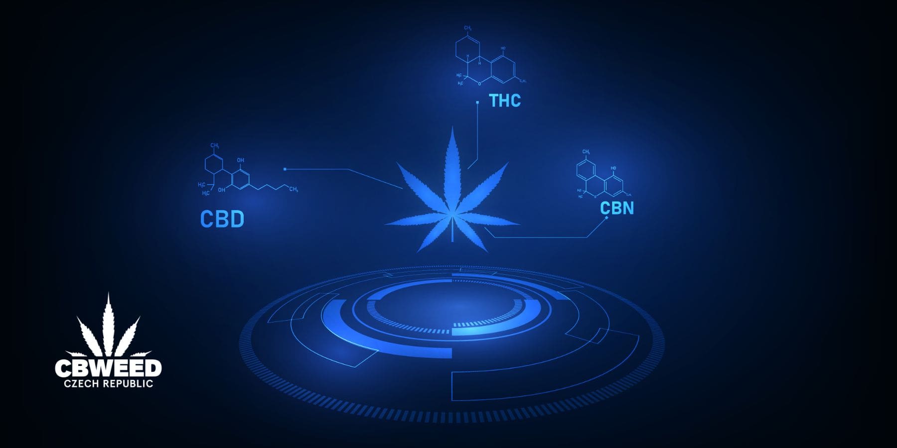 CBN: co to je a jaké je jeho místo v rodině kanabinoidů?