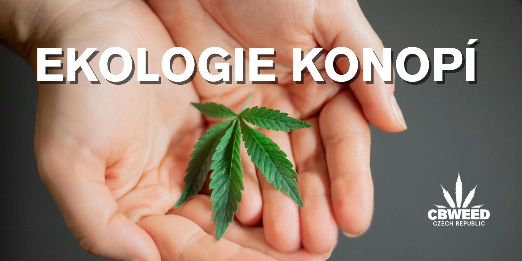 Ekologie a konopí: Udržitelná budoucnost s rostlinou domestikovanou před tisíci lety